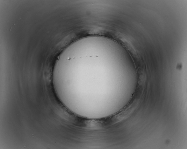 X0000101690273200807241416