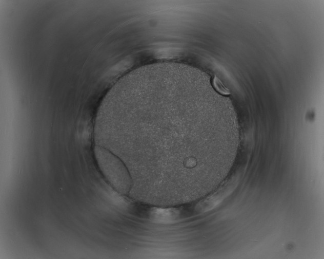 X0000101690277200807241416