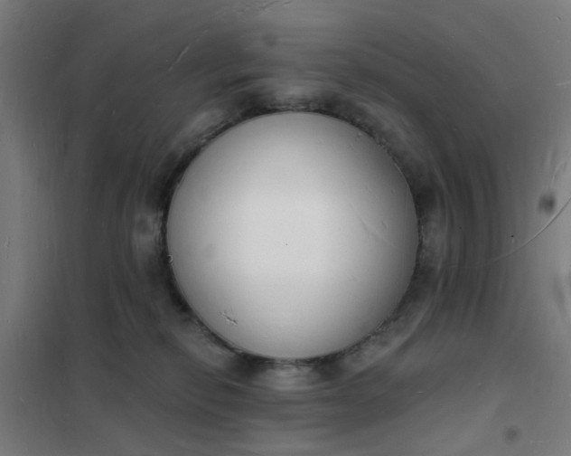 X0000101690278200807241416