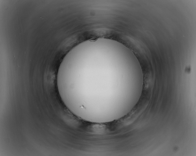 X0000101690279200807241416