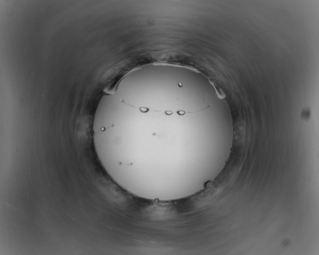 X0000101690280200807241416