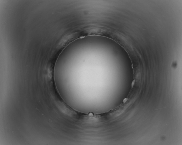 X0000101690282200807241416