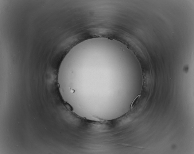 X0000101690284200807241416