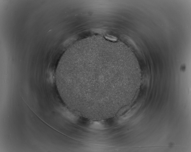 X0000101690285200807241416