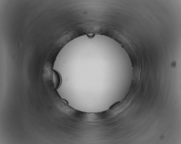 X0000101690287200807241416