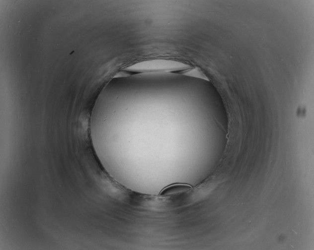 X0000101690288200807241416