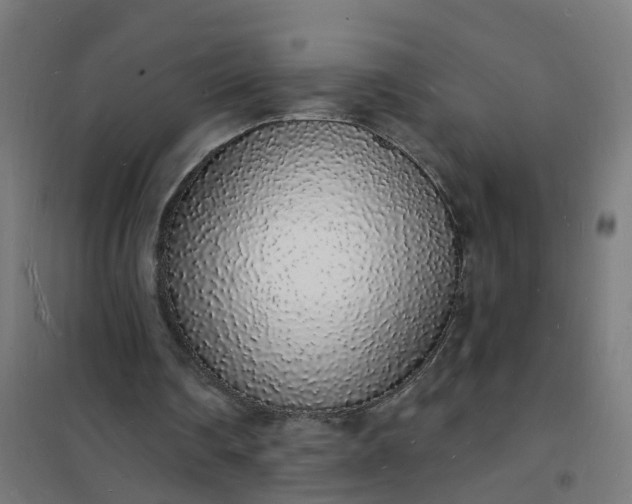 X0000101690290200807241415