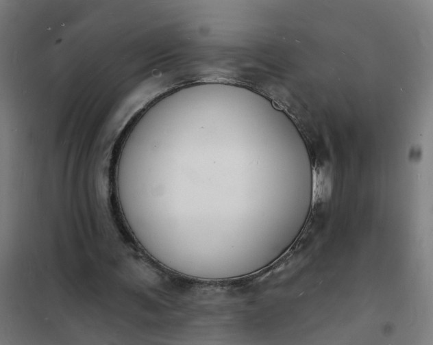 X0000101690291200807241415