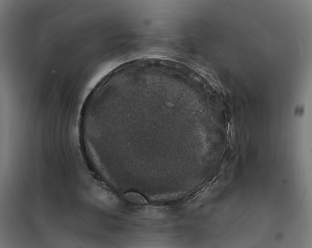 X0000101690292200807241415