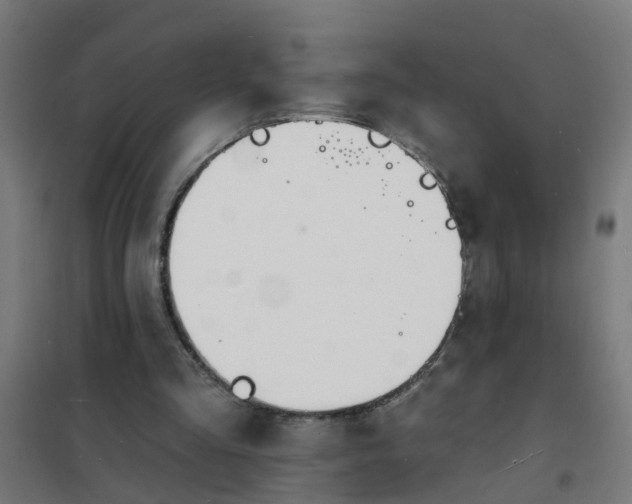 X0000101690293200807241415