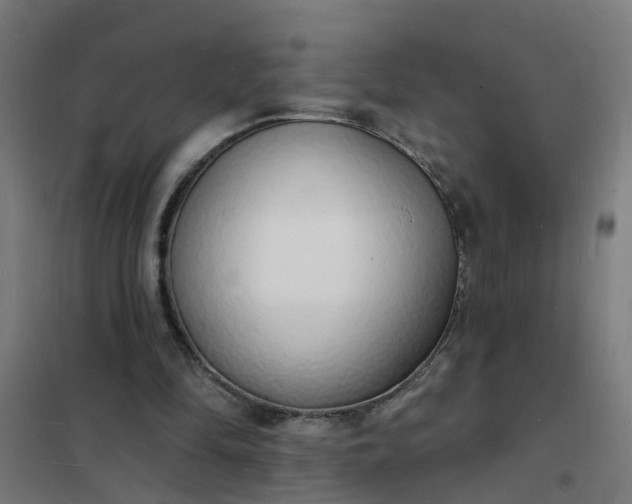 X0000101690294200807241415