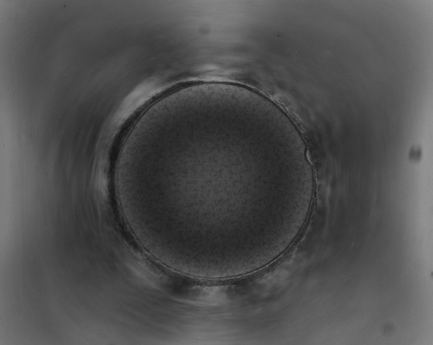 X0000101690295200807241415