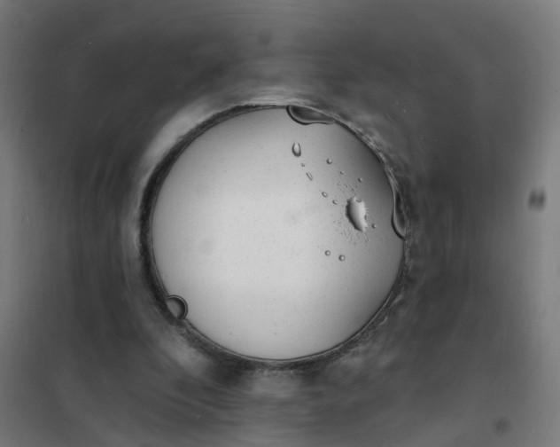 X0000101690296200807241415