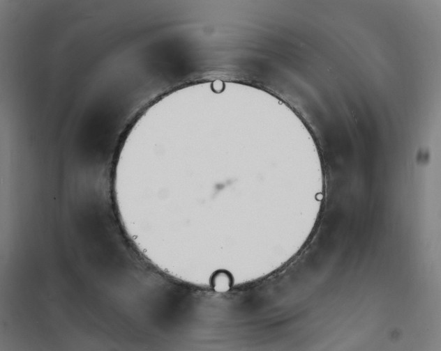 X0000101690297200807241415