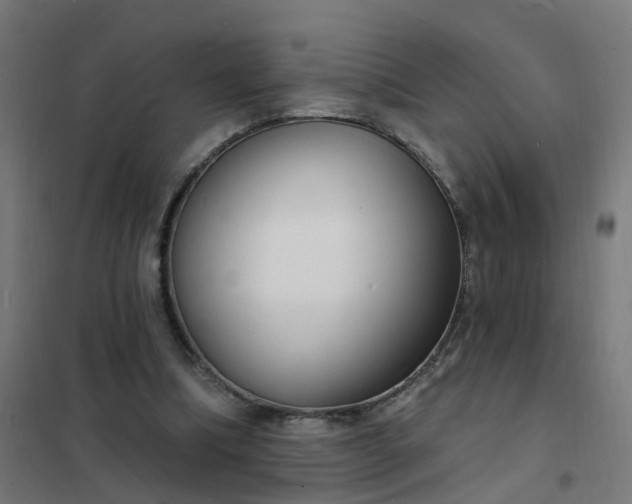 X0000101690298200807241415