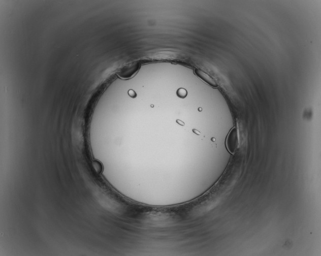 X0000101690300200807241415