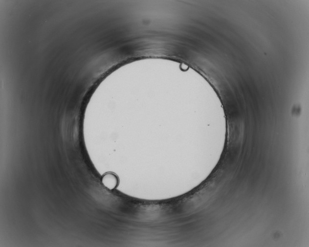 X0000101690301200807241415