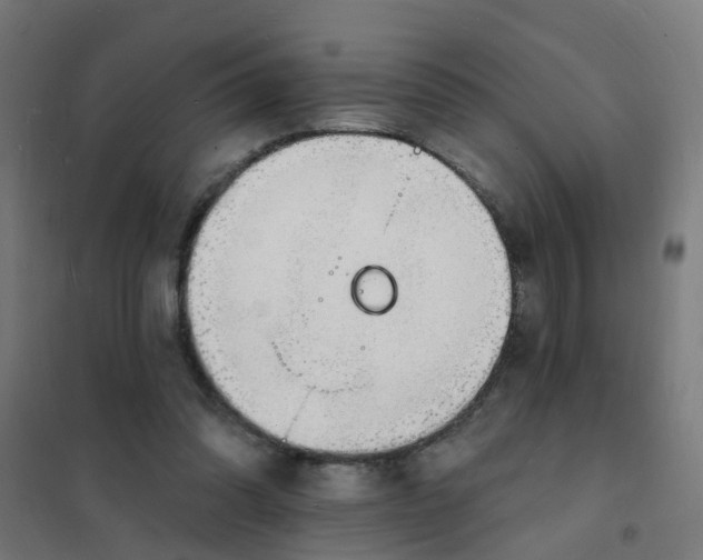 X0000101690302200807241415