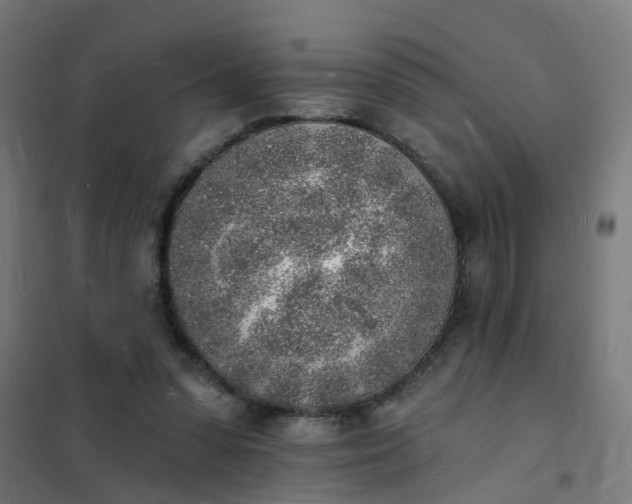 X0000101690303200807241415