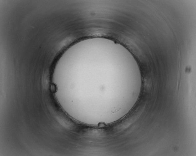 X0000101690304200807241415