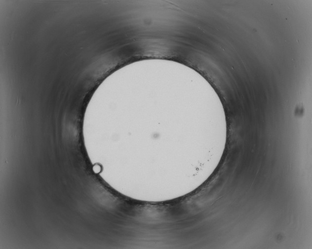 X0000101690305200807241415