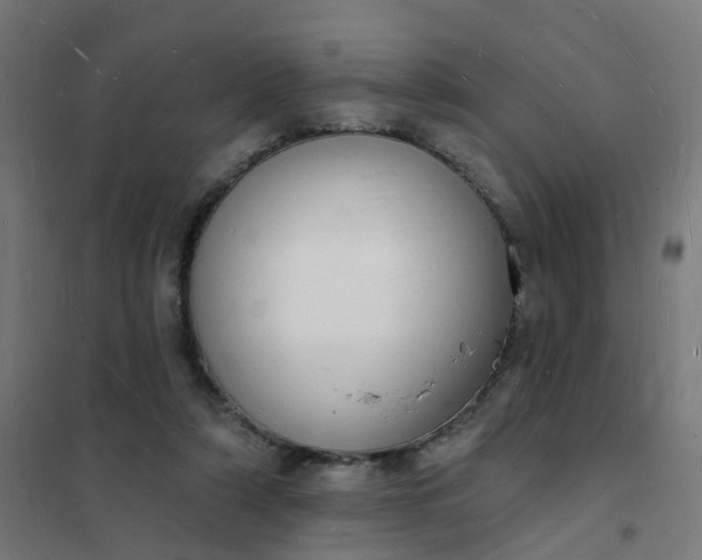 X0000101690306200807241415