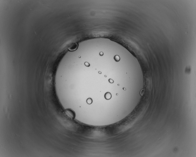 X0000101690308200807241415