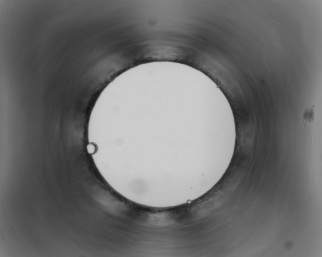 X0000101690309200807241415