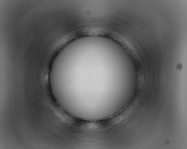 X0000101690310200807241415