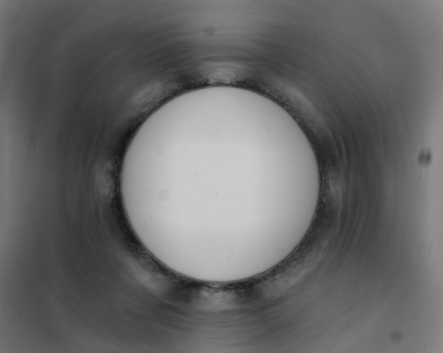 X0000101690311200807241415