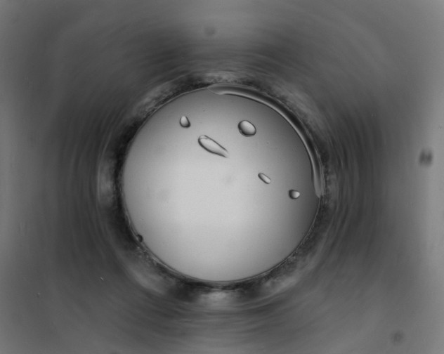 X0000101690312200807241415