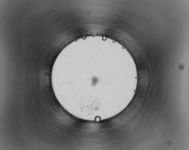 X0000101690313200807241415