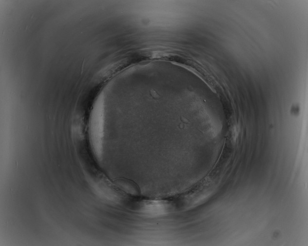 X0000101690316200807241415