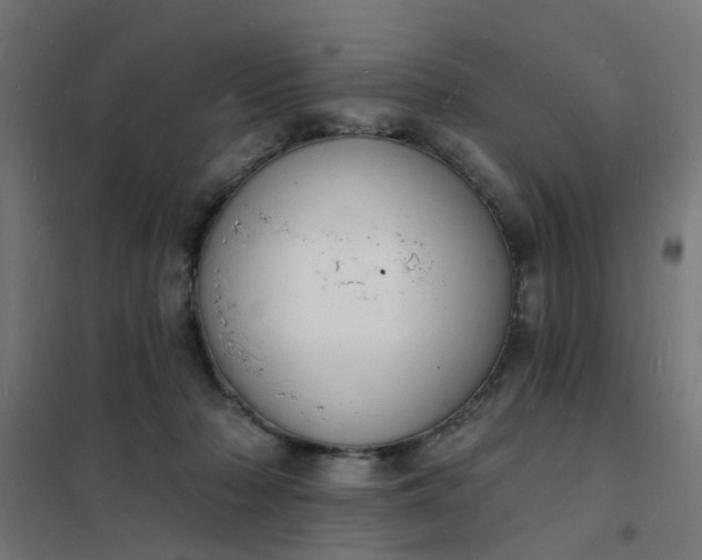 X0000101690318200807241415