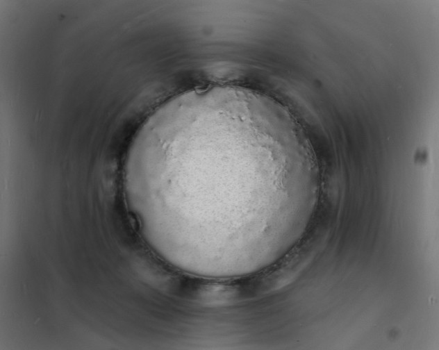 X0000101690319200807241415