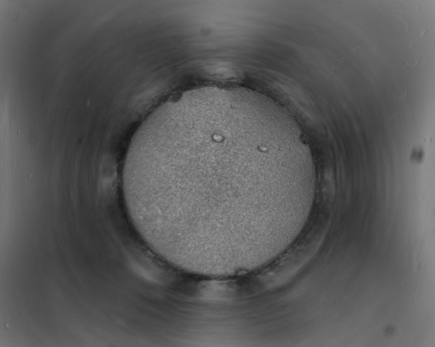 X0000101690320200807241415