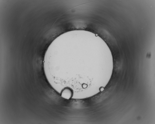 X0000101690321200807241415