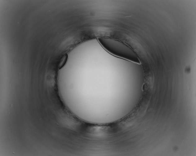 X0000101690323200807241415