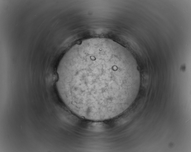 X0000101690324200807241415