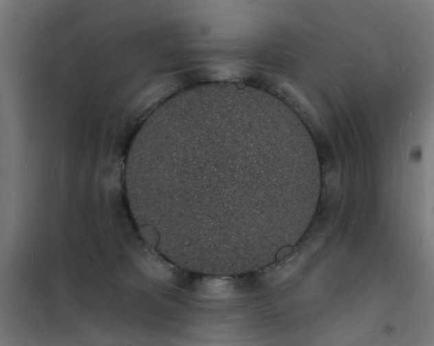 X0000101690325200807241415