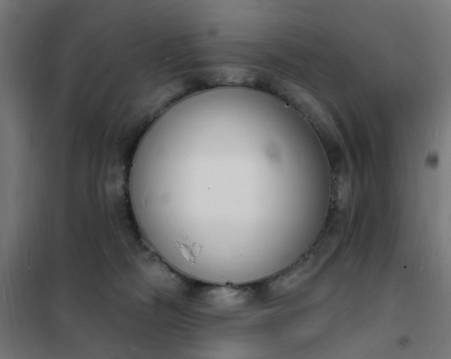 X0000101690326200807241415