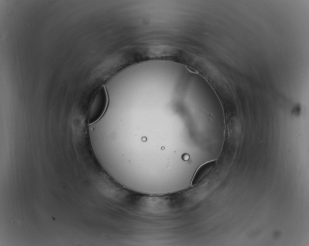 X0000101690327200807241415