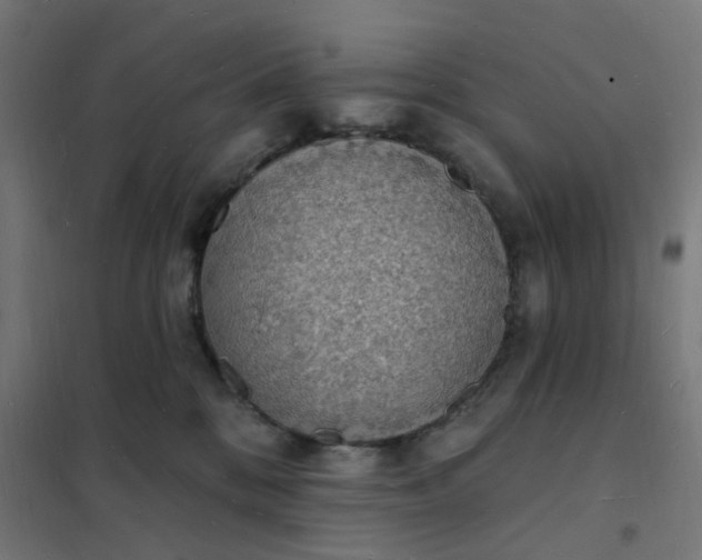 X0000101690328200807241415