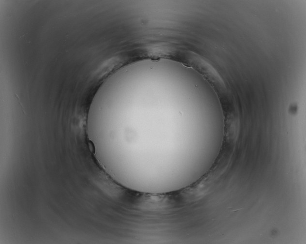 X0000101690329200807241415