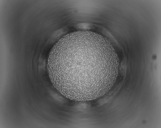 X0000101690330200807241414