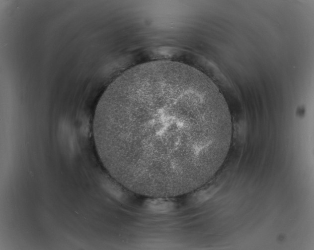 X0000101690331200807241414