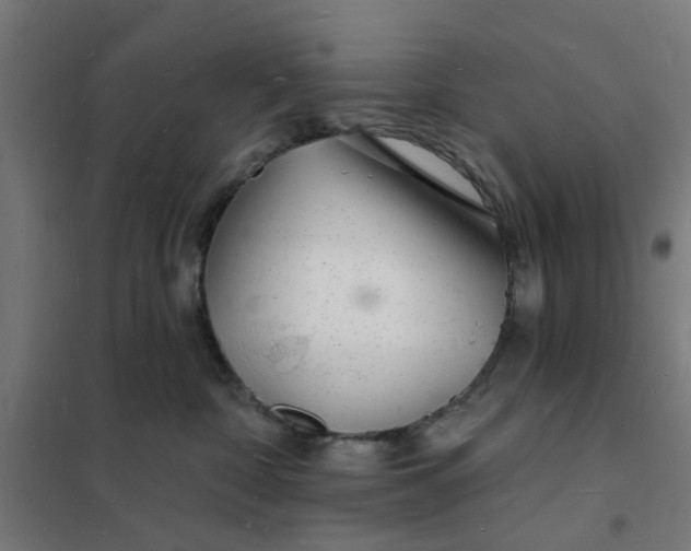 X0000101690332200807241414