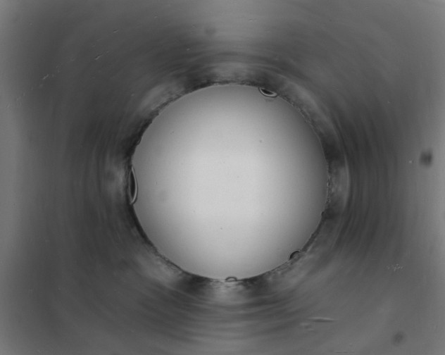 X0000101690333200807241414