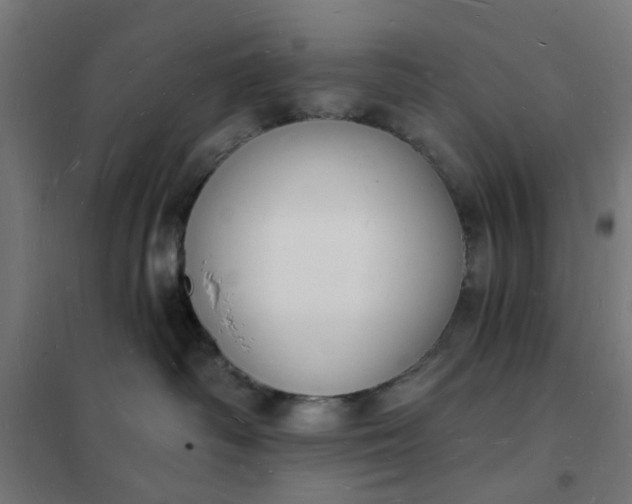 X0000101690334200807241414