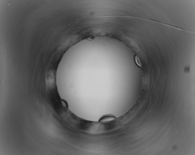 X0000101690335200807241414